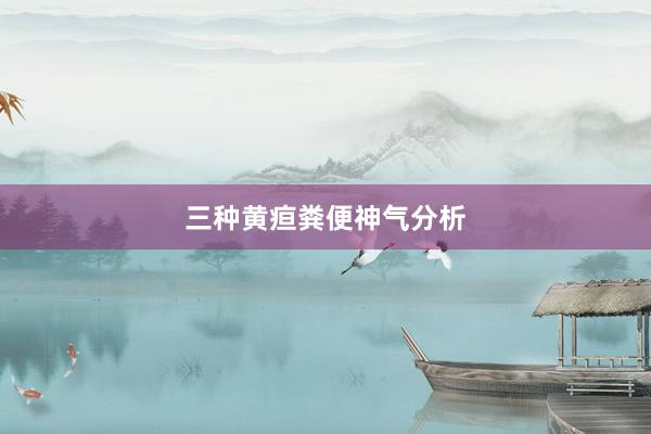 三种黄疸粪便神气分析